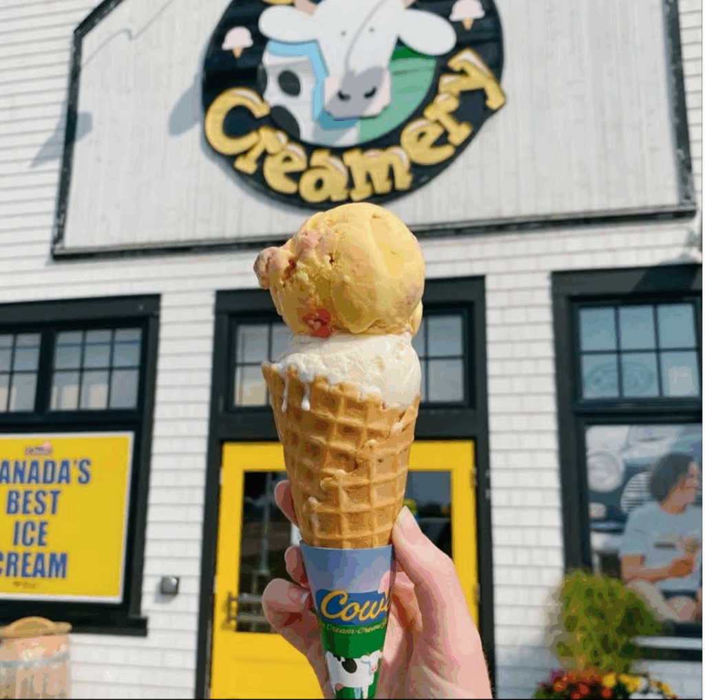 Top 15 Best Ice Cream in Canada – A Blogger's Journey with Pricing.